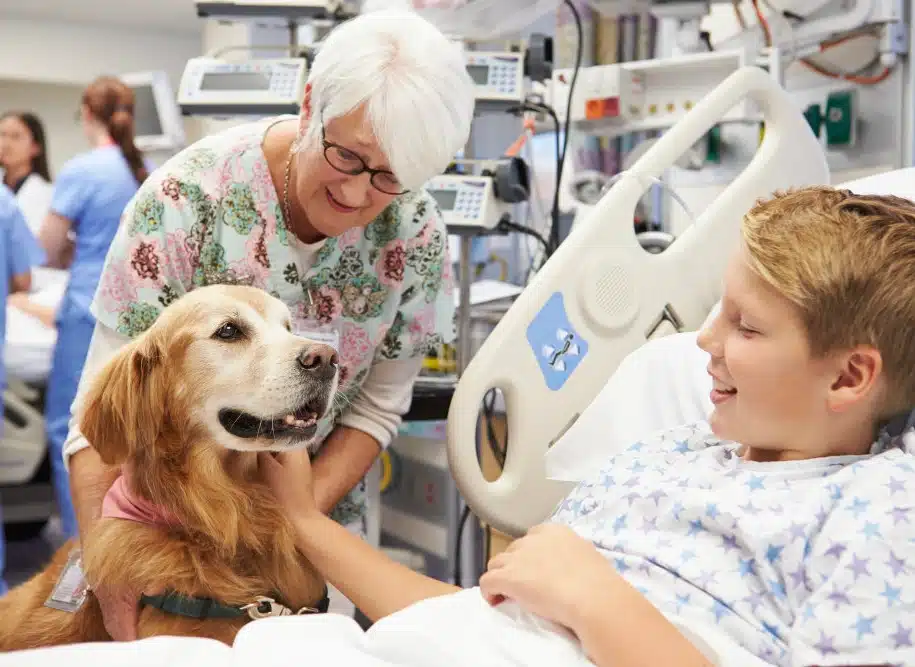 Therapy dog comforting a young patient in a hospital room during an animal-assisted therapy session